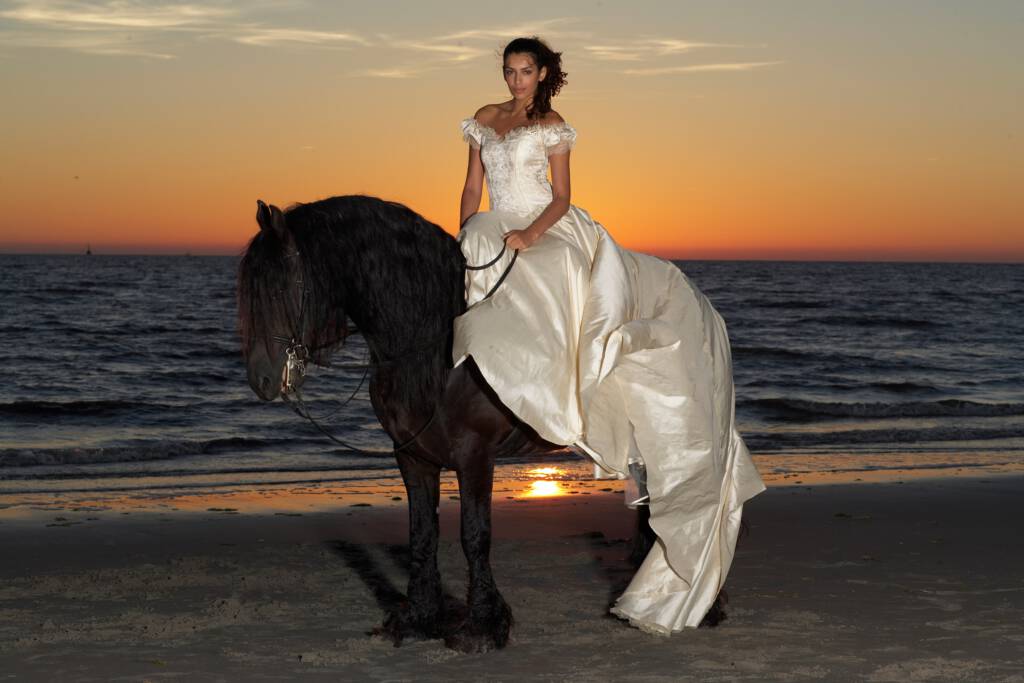 Eine Braut in einem cremefarbenen Hochzeitskleid mit Spitze sitzt auf einem majestätischen schwarzen Friesenpferd am Strand bei Sonnenuntergang, das Meer im Hintergrund.